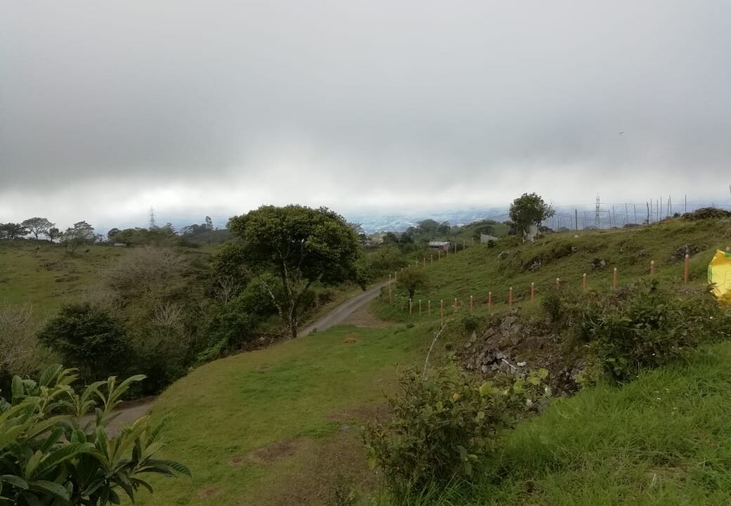 WhatsApp Image 2025-06-08 at 13.03.49