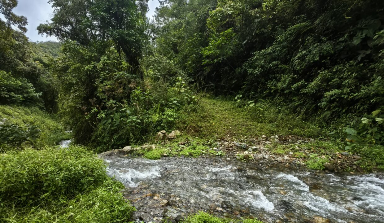 WhatsApp Image 2025-06-12 at 17.06.34 (2)
