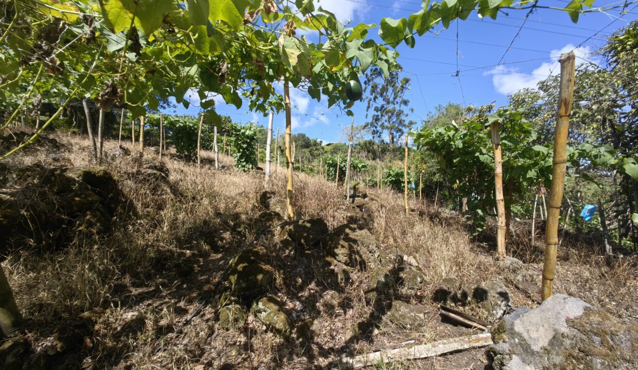 WhatsApp Image 2026-01-14 at 16.25.35