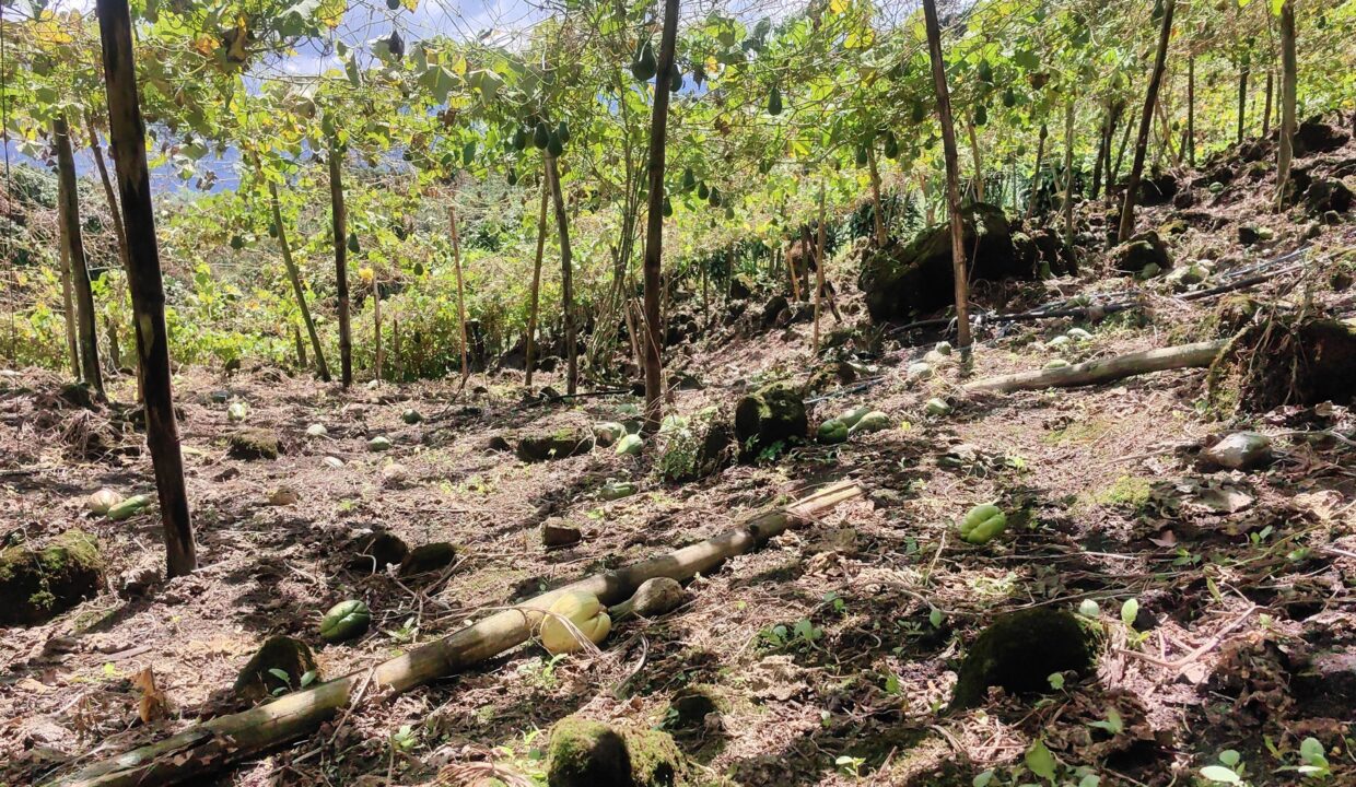 WhatsApp Image 2026-01-14 at 16.25.54