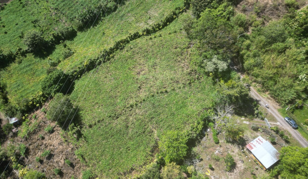 WhatsApp Image 2026-01-14 at 16.26.33