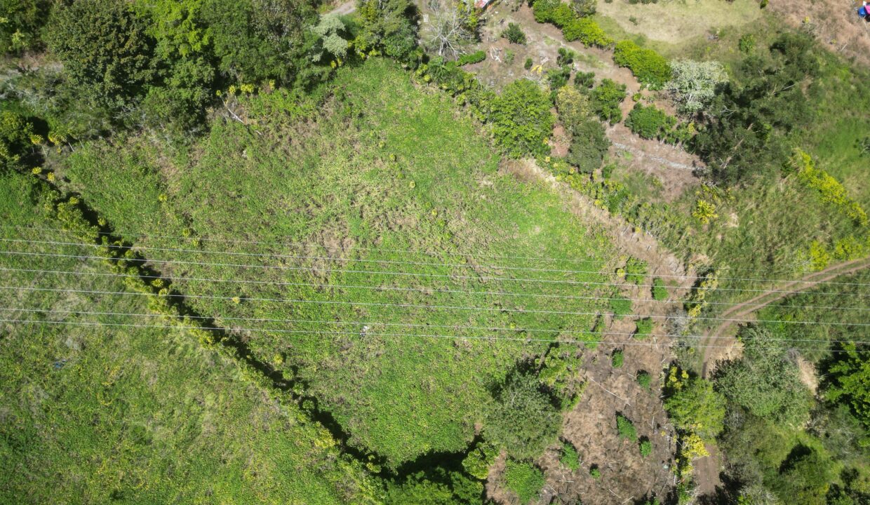 WhatsApp Image 2026-01-14 at 16.26.42