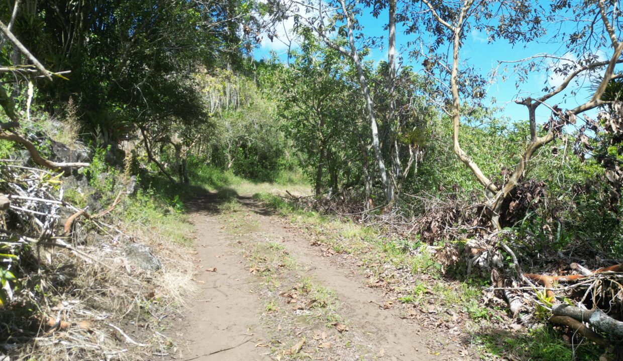 WhatsApp Image 2026-01-14 at 16.26.46