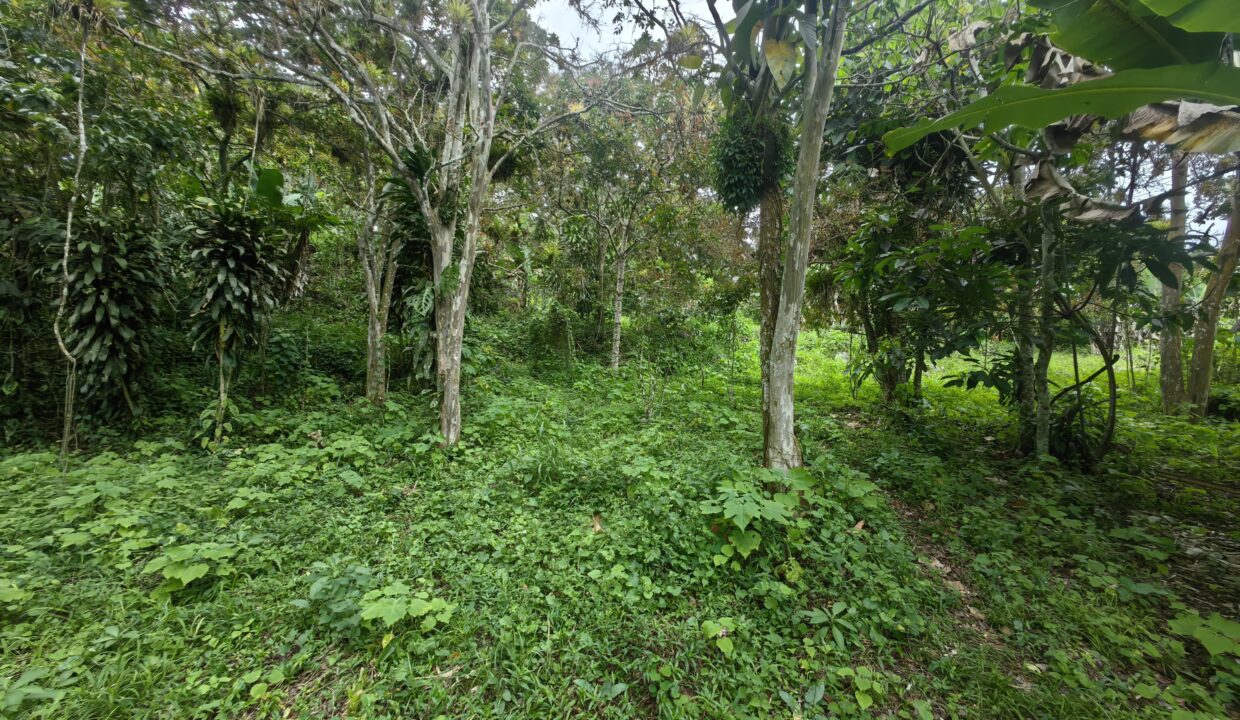 WhatsApp Image 2025-08-16 at 15.03.03 (1)