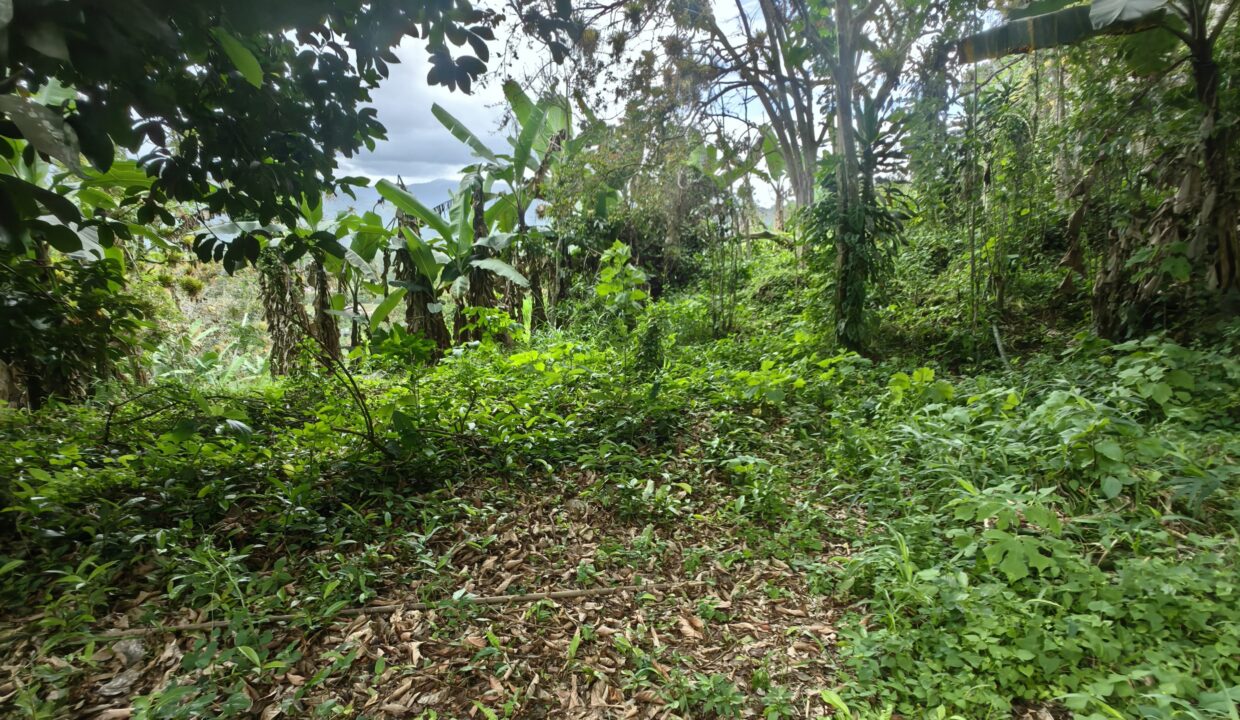 WhatsApp Image 2025-08-16 at 15.03.03