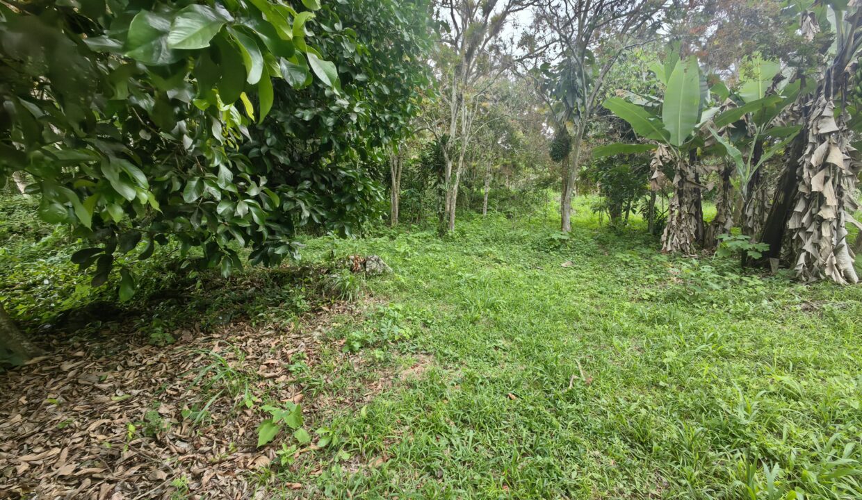 WhatsApp Image 2025-08-16 at 15.03.03 (2)