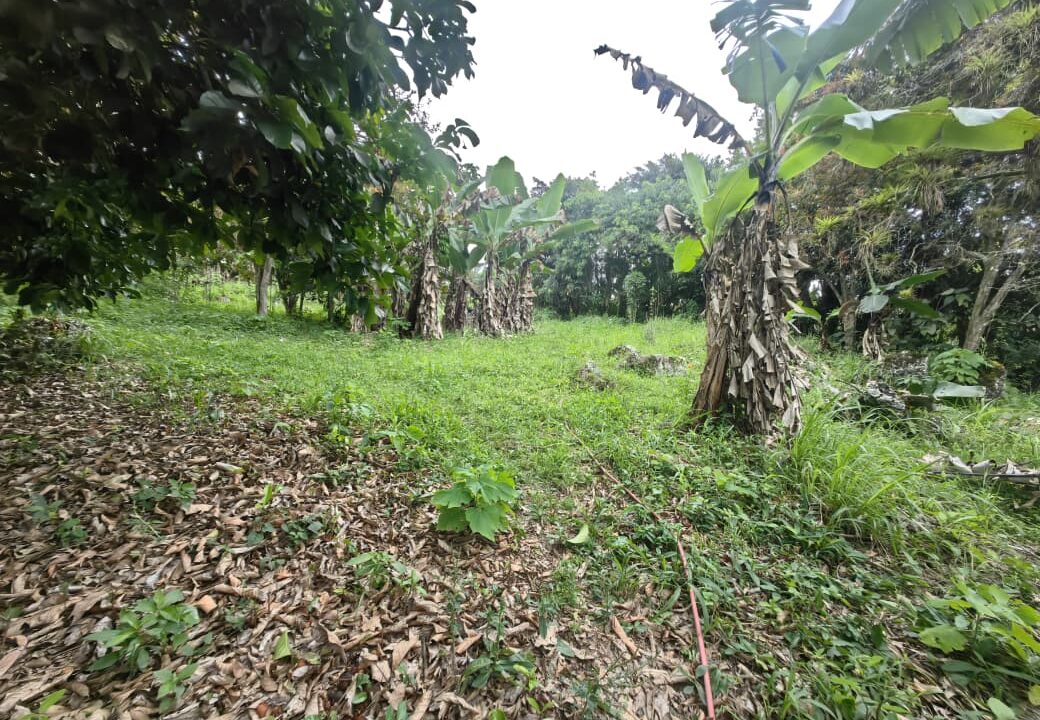 WhatsApp Image 2025-08-16 at 15.03.03 (3)