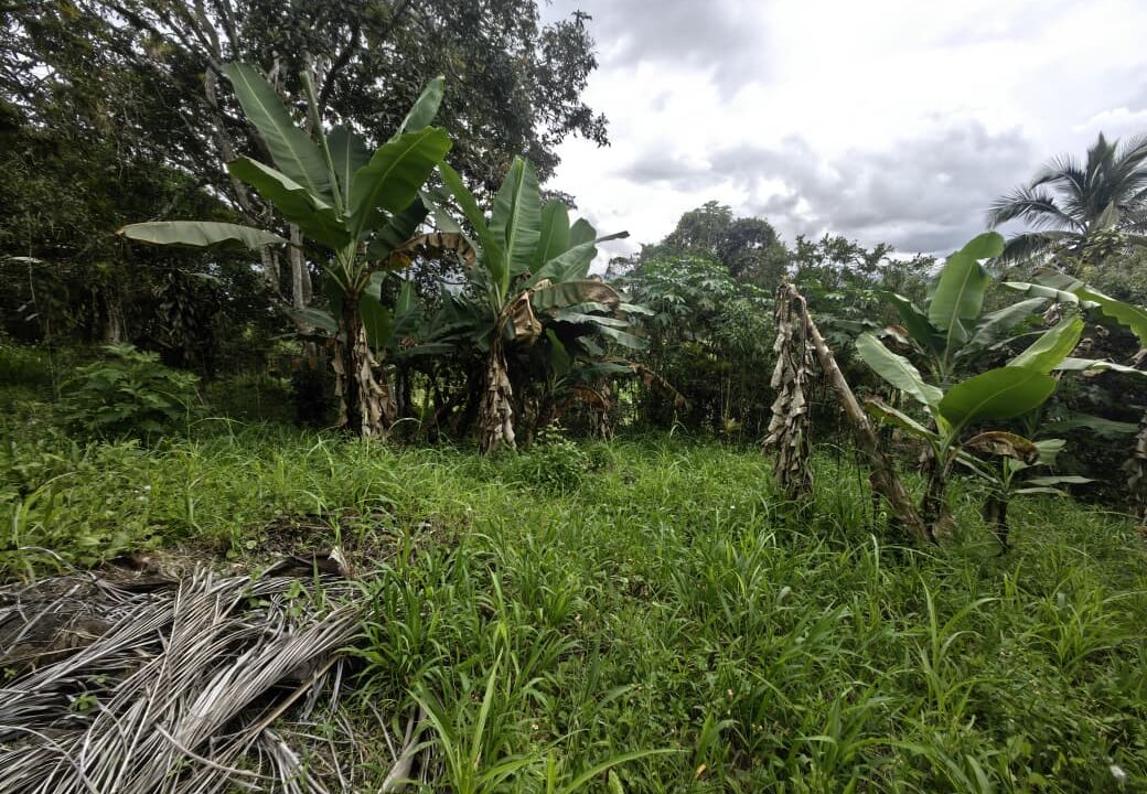 WhatsApp Image 2025-08-16 at 15.03.04