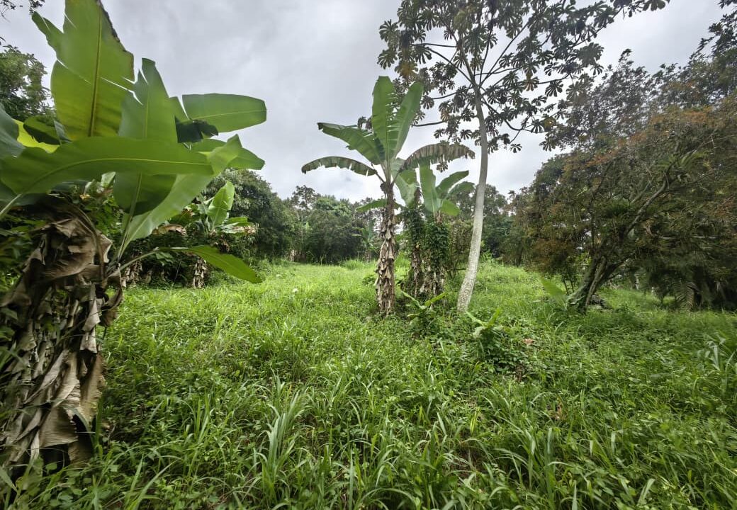 WhatsApp Image 2025-08-16 at 15.03.04 (2)