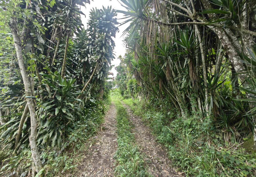 WhatsApp Image 2025-08-16 at 15.03.05