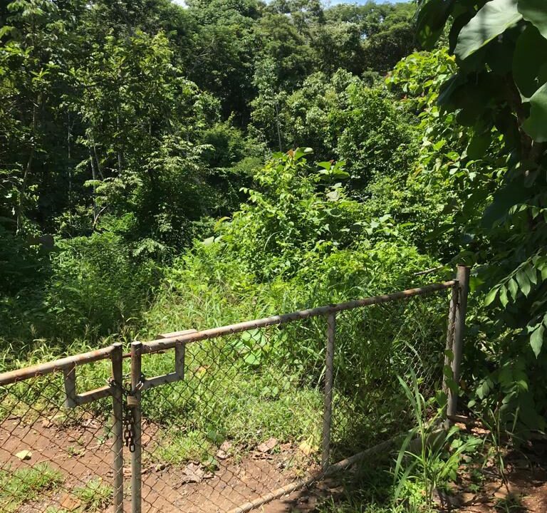 WhatsApp Image 2025-11-20 at 10.45.48