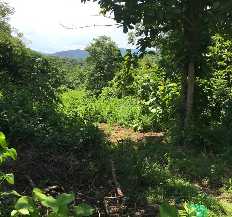 WhatsApp Image 2025-11-20 at 10.45.49