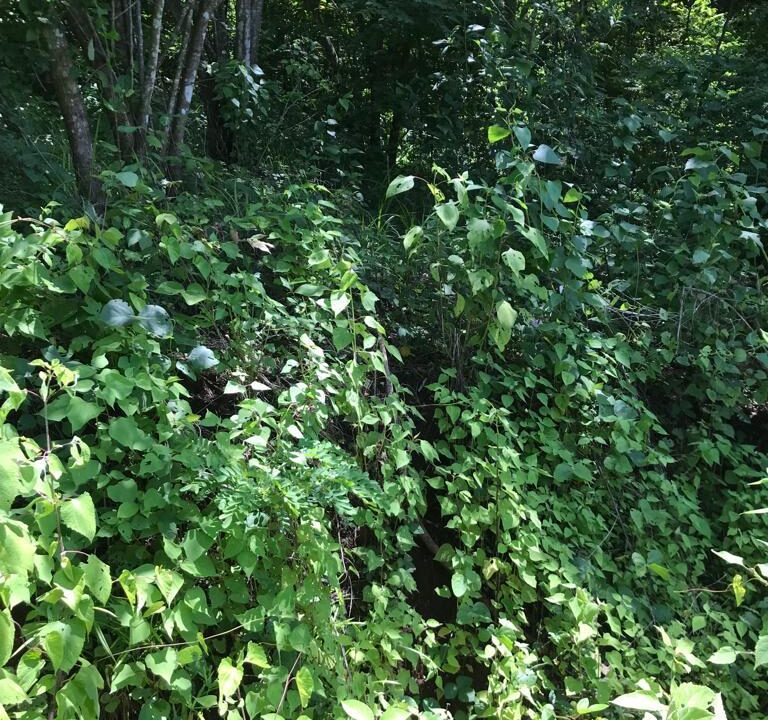 WhatsApp Image 2025-11-20 at 10.45.50 (2)