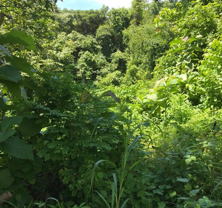 WhatsApp Image 2025-11-20 at 10.45.50