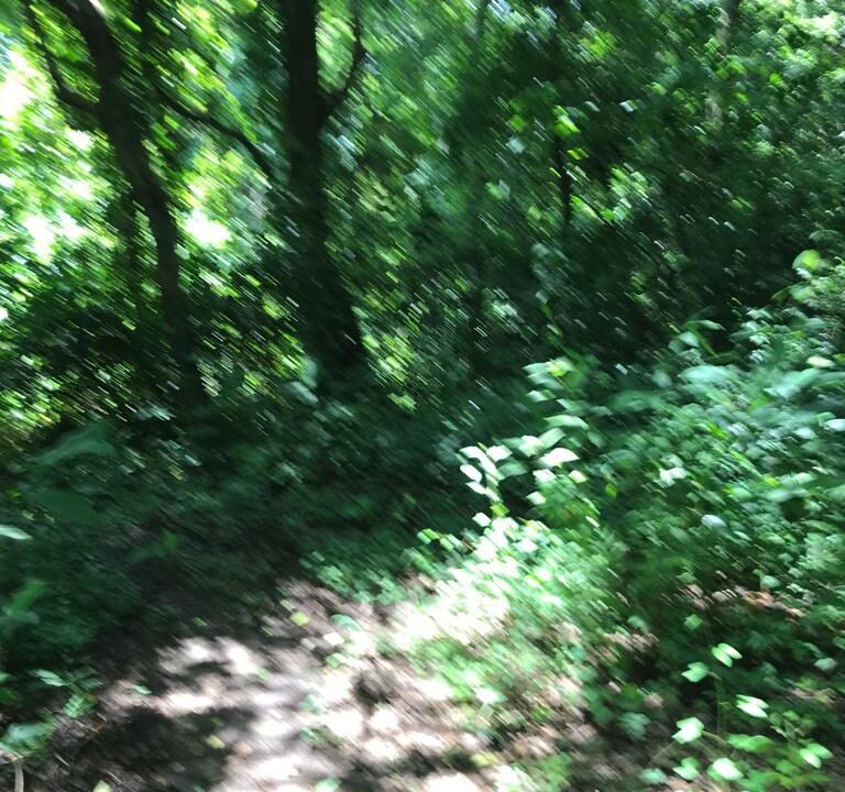 WhatsApp Image 2025-11-20 at 10.45.52 (1)