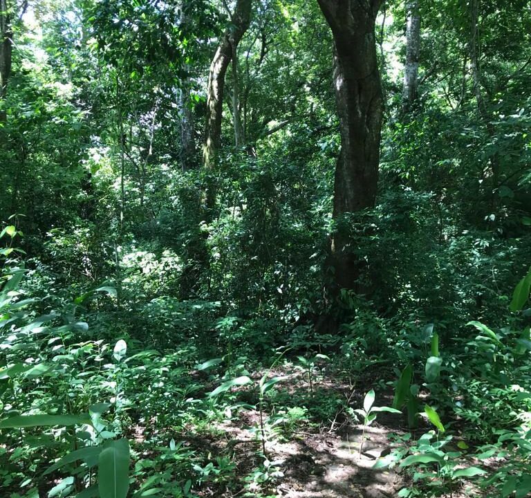 WhatsApp Image 2025-11-20 at 10.45.52