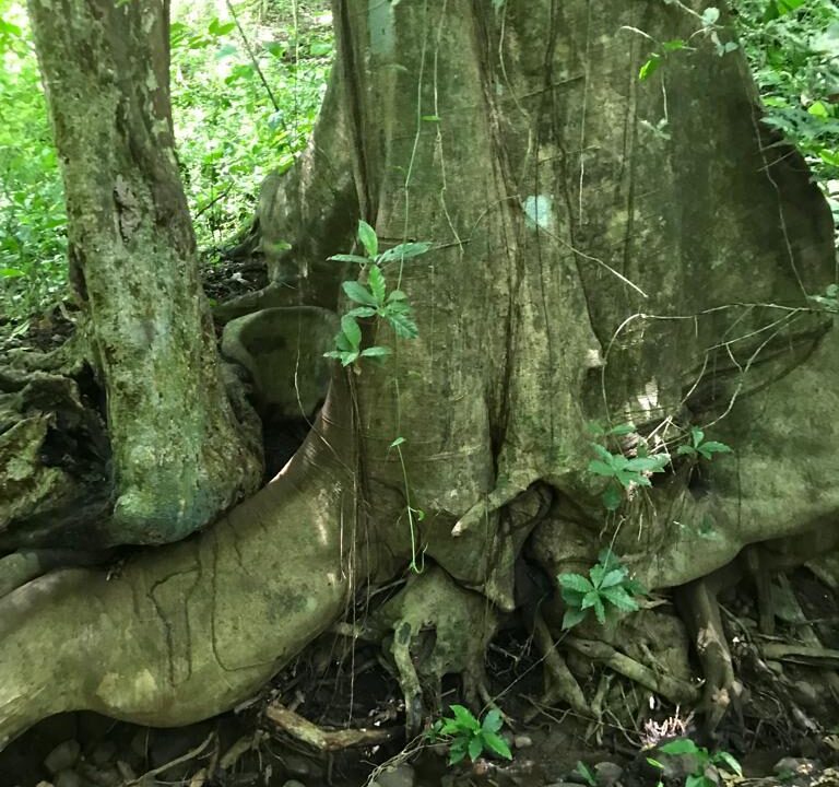 WhatsApp Image 2025-11-20 at 10.45.54 (1)