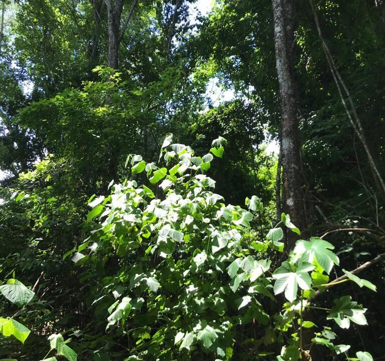 WhatsApp Image 2025-11-20 at 10.45.57 (2)