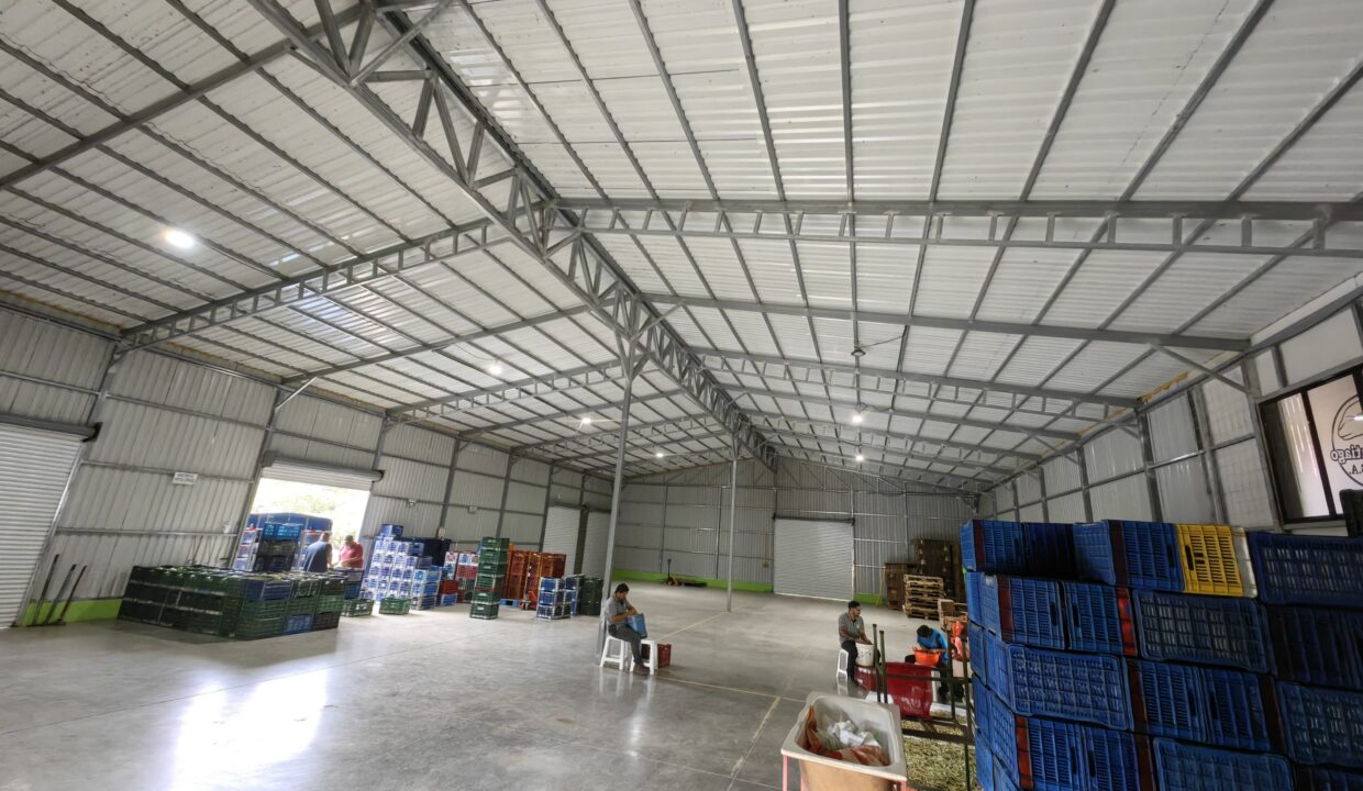 WhatsApp Image 2025-11-27 at 19.01.35 (2)