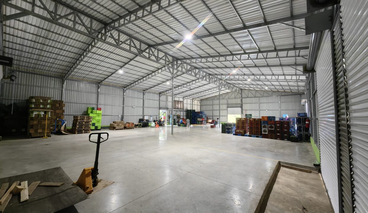 WhatsApp Image 2025-11-27 at 19.01.45 (3)