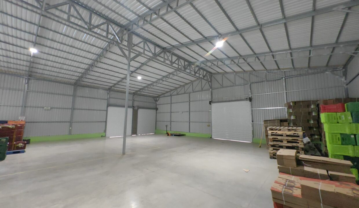 WhatsApp Image 2025-11-27 at 19.01.45 (4)