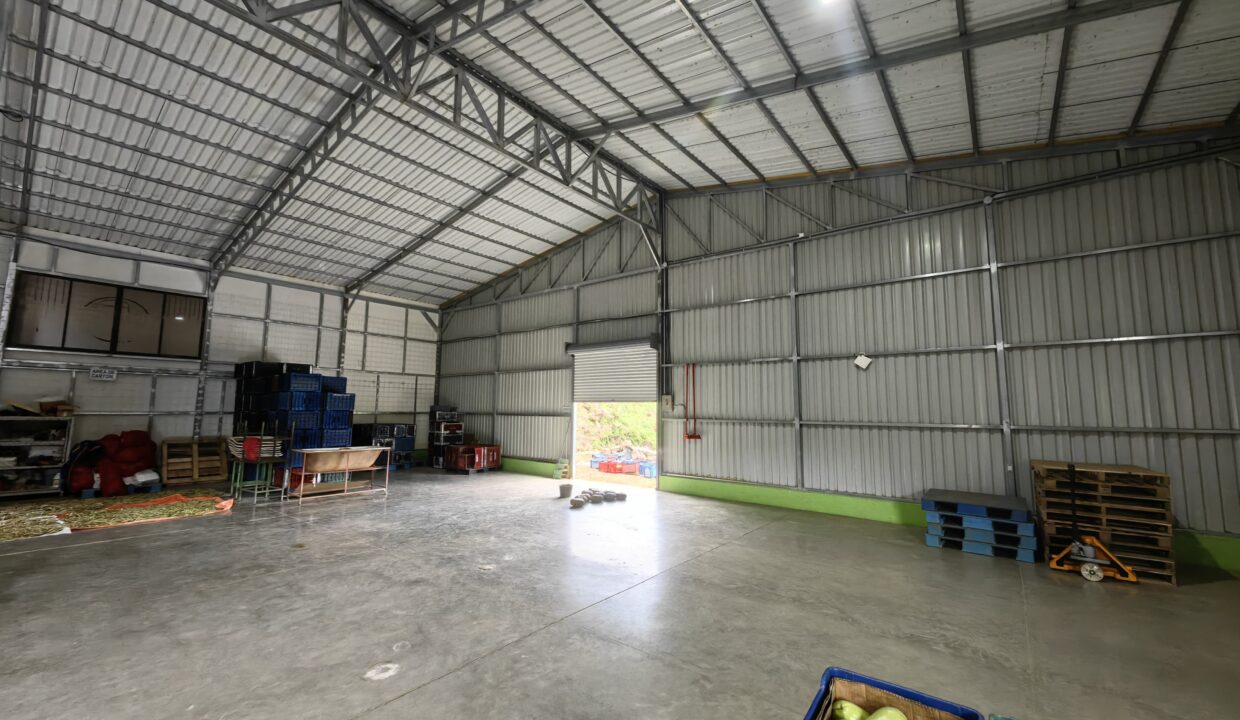 WhatsApp Image 2025-11-27 at 19.01.46 (1)