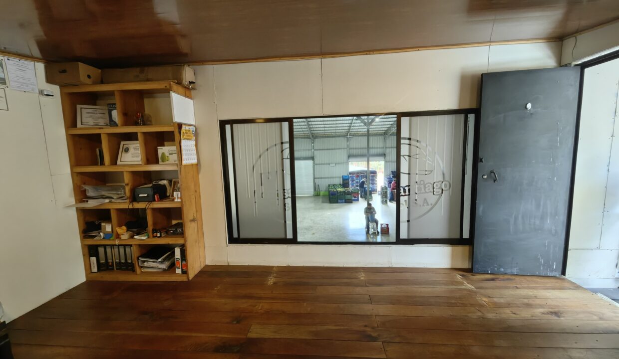 WhatsApp Image 2025-11-27 at 19.01.48 (1)