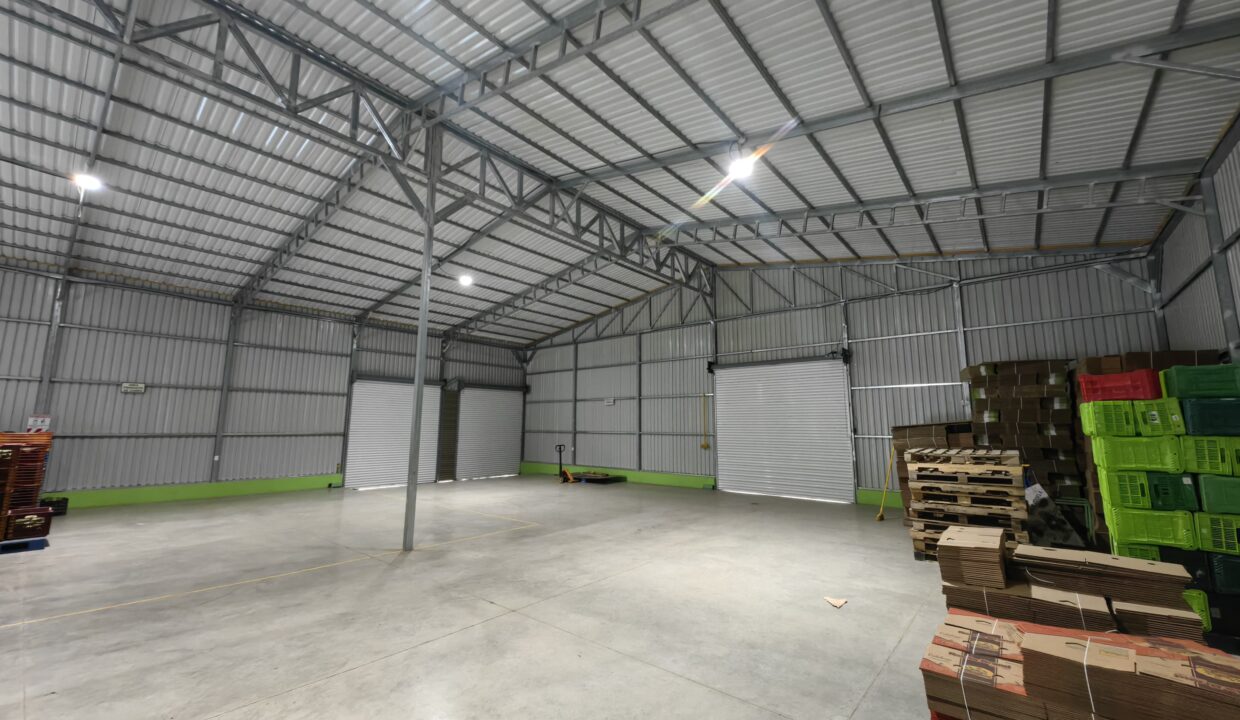 WhatsApp Image 2025-11-27 at 19.01.48