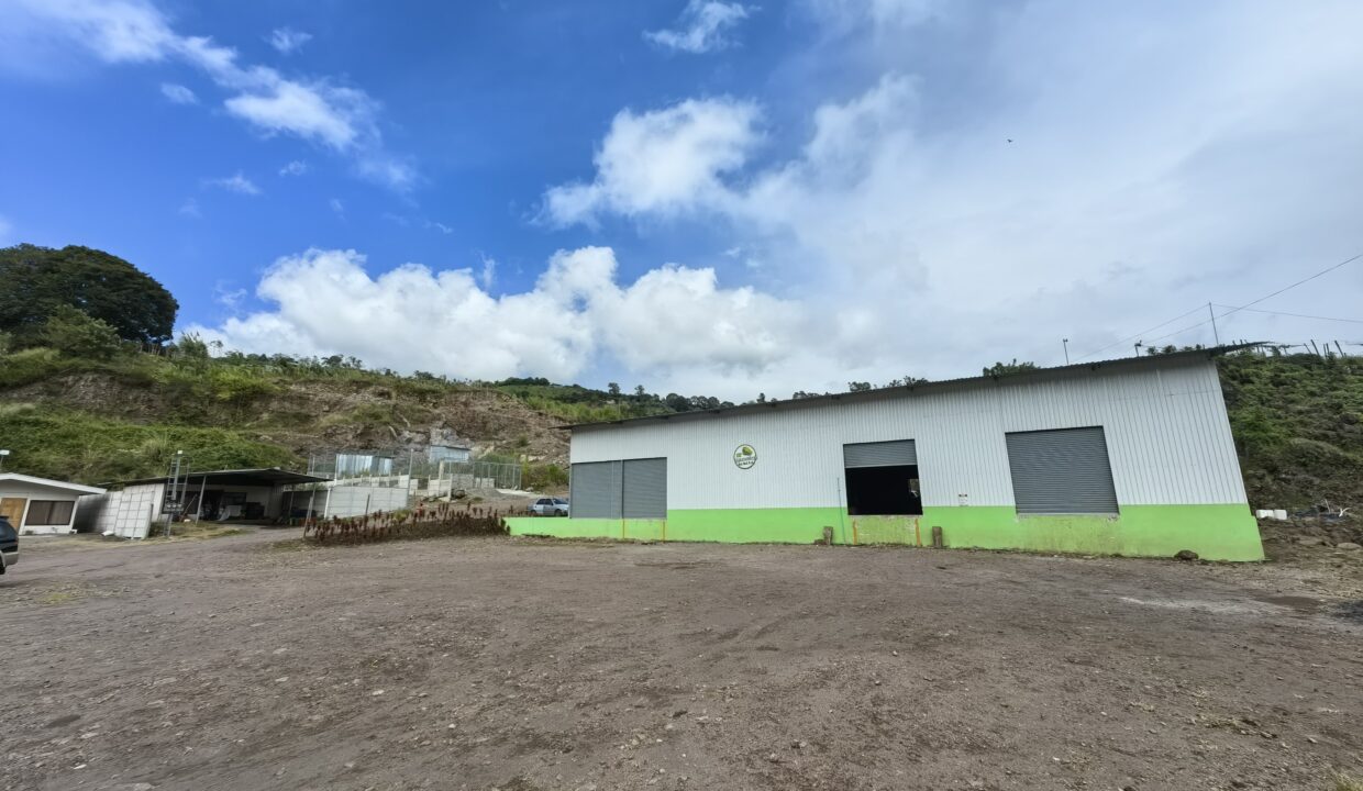 WhatsApp Image 2025-11-27 at 19.01.49 (5)