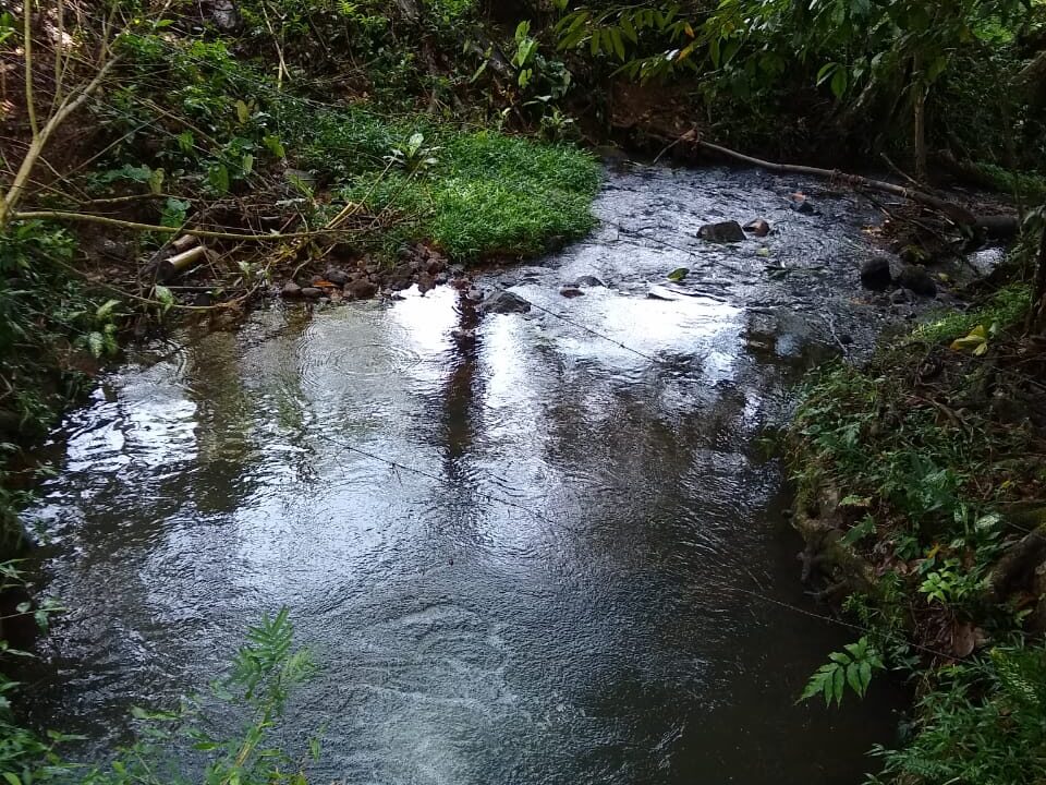 WhatsApp Image 2025-12-01 at 08.50.47 (1)