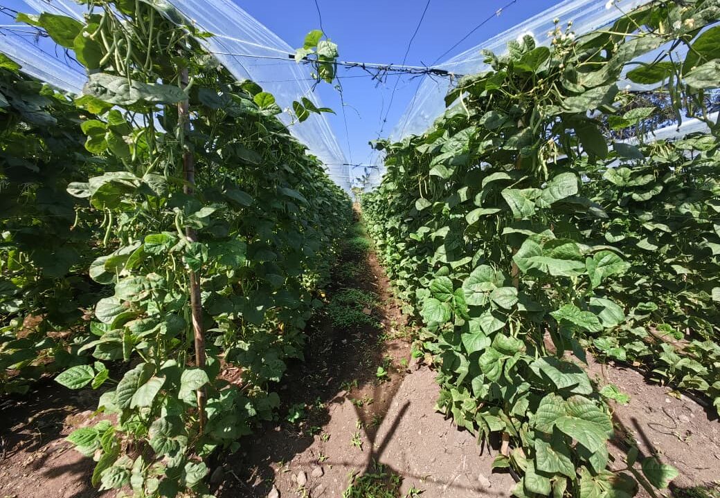 WhatsApp Image 2025-12-08 at 11.23.24