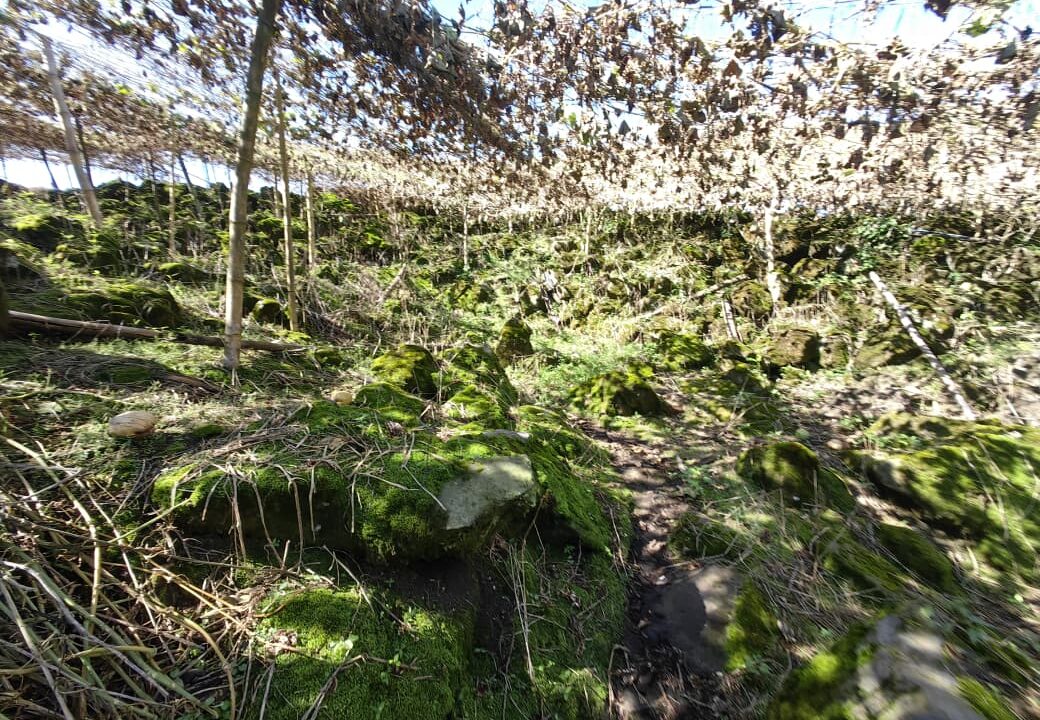 WhatsApp Image 2025-12-08 at 11.24.21