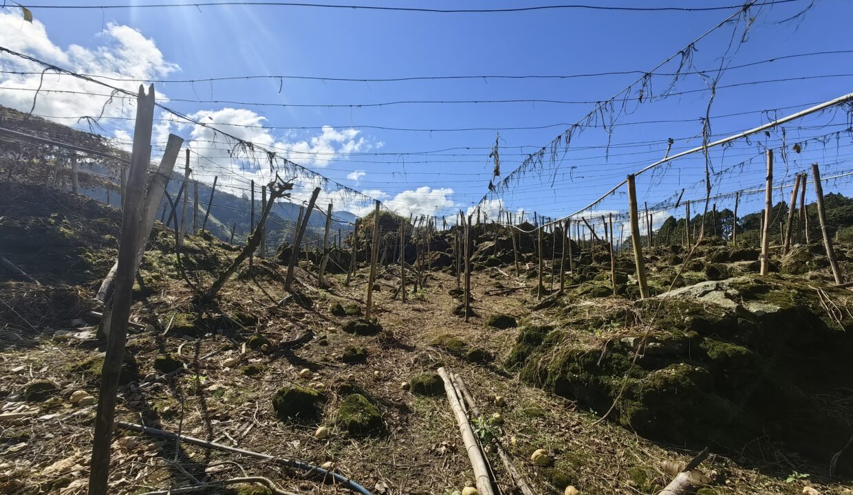 WhatsApp Image 2025-12-08 at 11.24.29