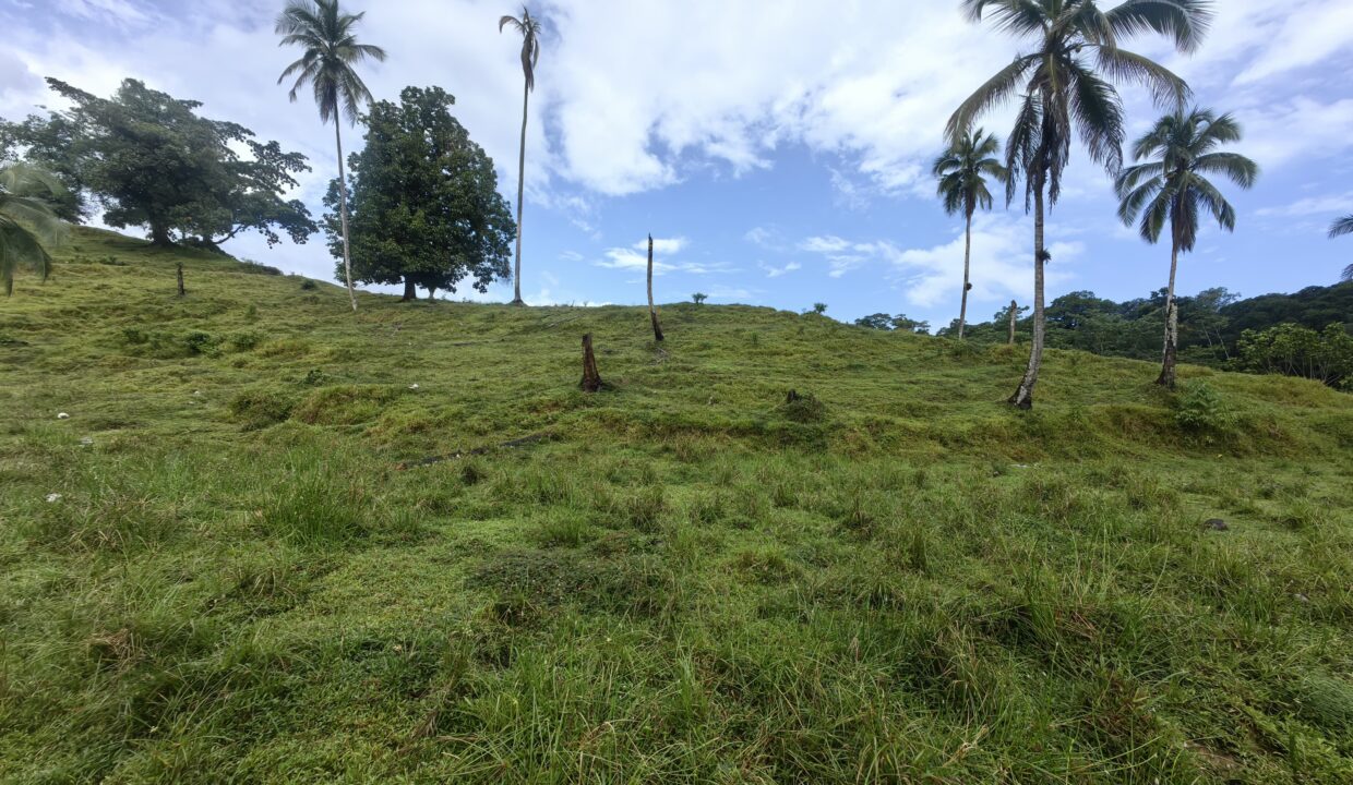 WhatsApp Image 2025-12-14 at 10.54.42 (1)