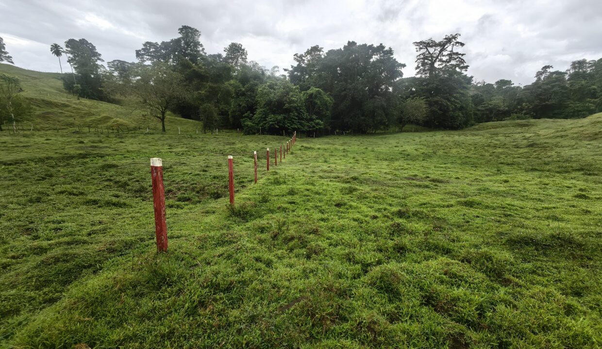 WhatsApp Image 2025-12-14 at 10.54.43 (1)