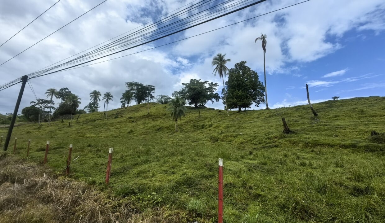 WhatsApp Image 2025-12-14 at 10.54.43