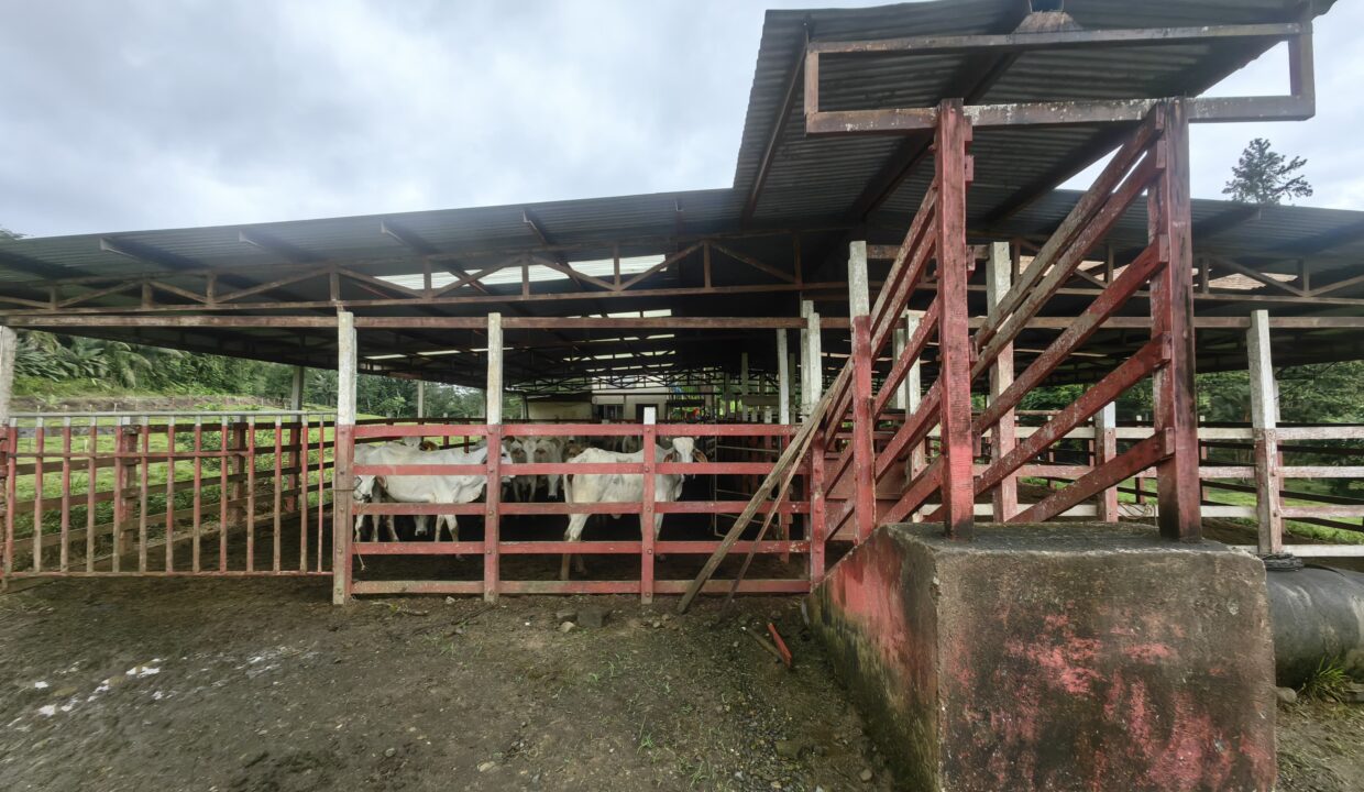 WhatsApp Image 2025-12-14 at 10.54.44 (1)