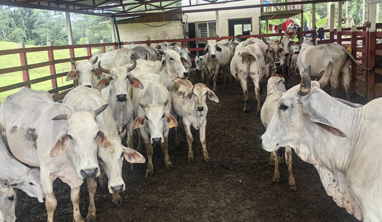 WhatsApp Image 2025-12-14 at 10.54.44