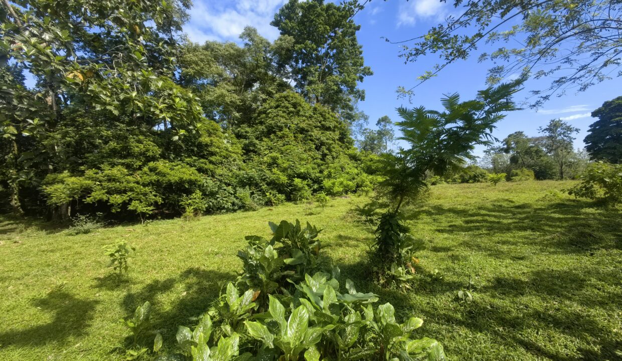 WhatsApp Image 2025-12-14 at 10.56.44 (1)