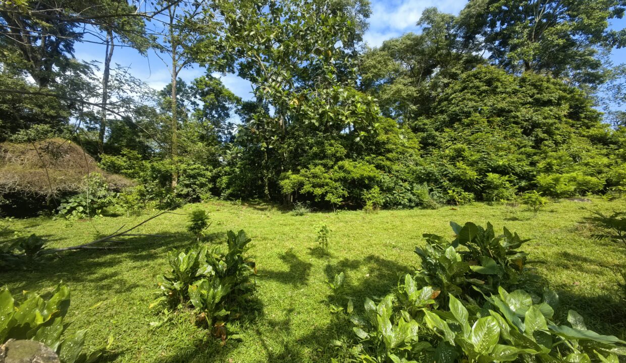 WhatsApp Image 2025-12-14 at 10.56.44 (2)