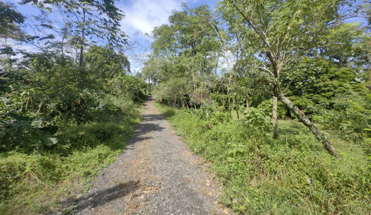 WhatsApp Image 2025-12-14 at 10.56.45