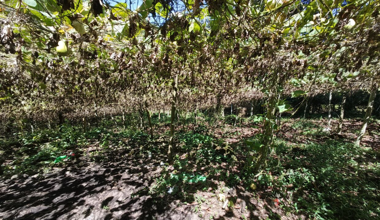 WhatsApp Image 2025-12-15 at 17.48.53