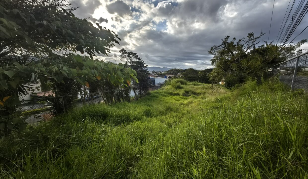 WhatsApp Image 2025-12-16 at 16.22.56