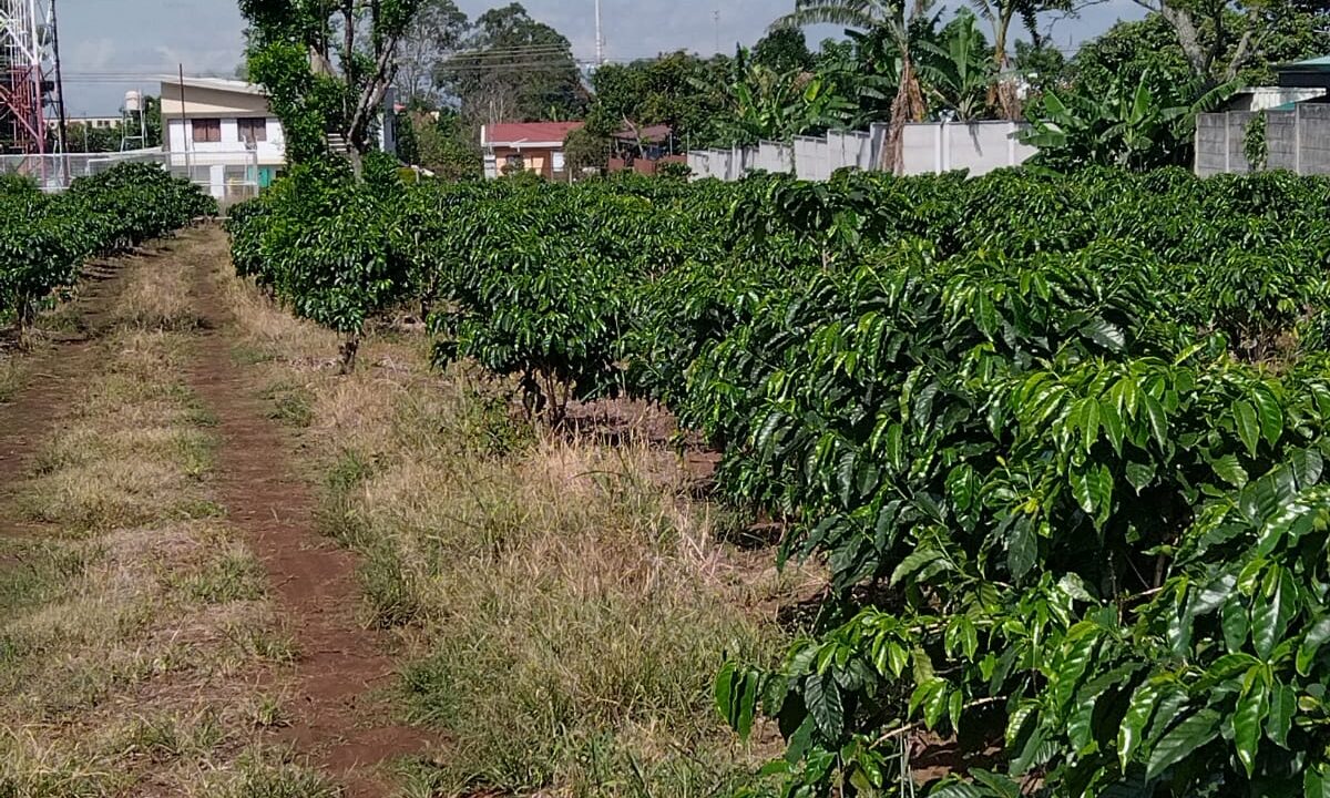 WhatsApp Image 2025-09-26 at 08.57.49