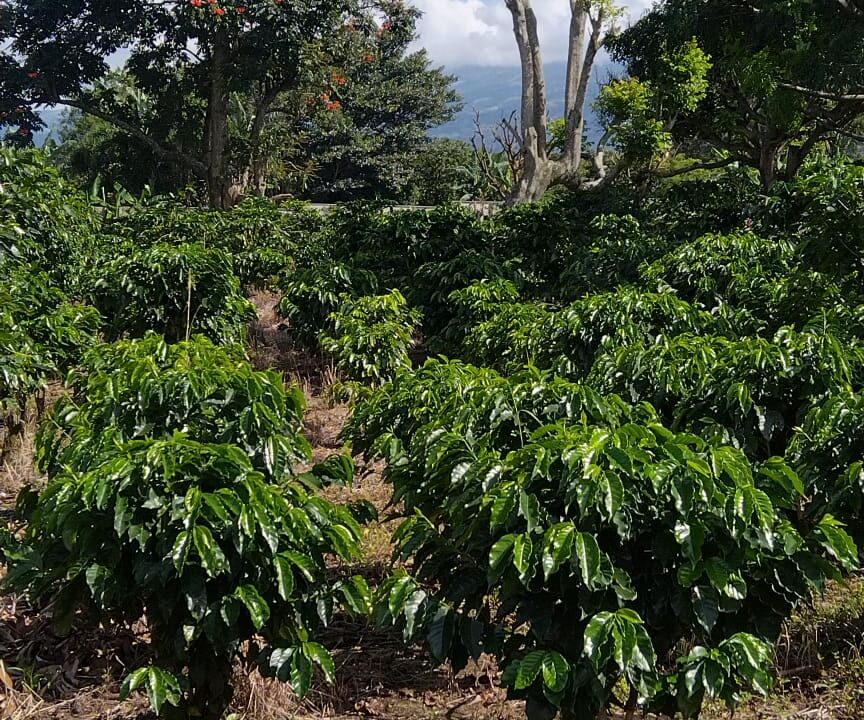 WhatsApp Image 2025-09-26 at 09.03.39