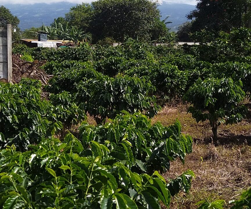 WhatsApp Image 2025-09-26 at 09.03.44