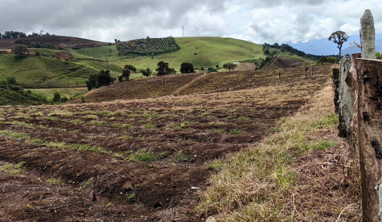 WhatsApp Image 2025-11-06 at 18.12.31 (4)