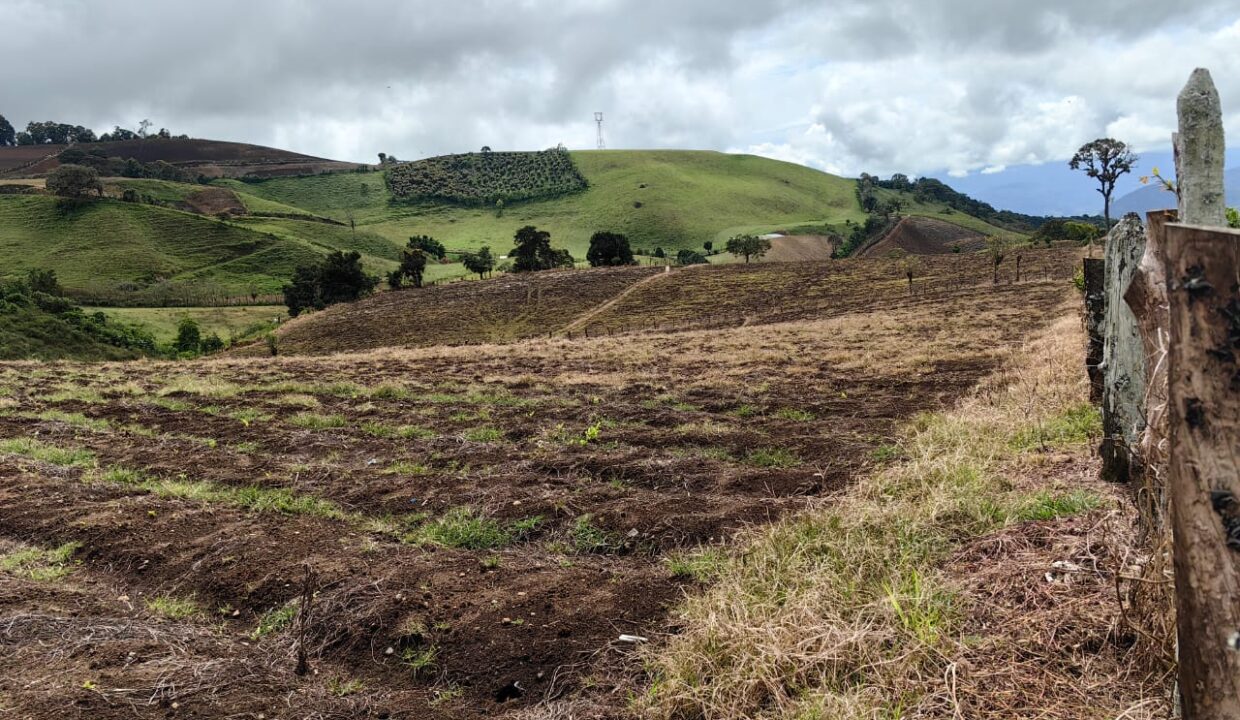 WhatsApp Image 2025-11-06 at 18.12.32