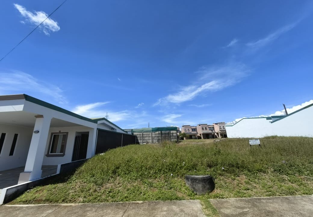 WhatsApp Image 2025-11-07 at 13.49.28 (3)