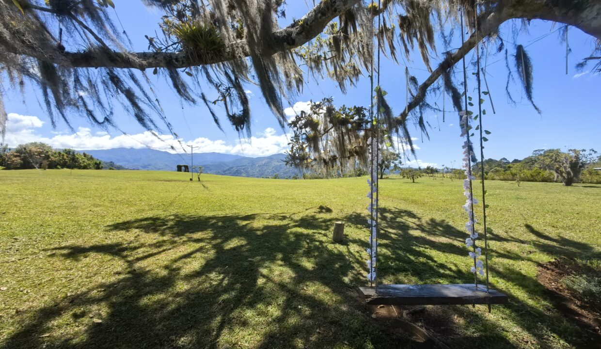 WhatsApp Image 2026-01-27 at 15.03.30 (1)